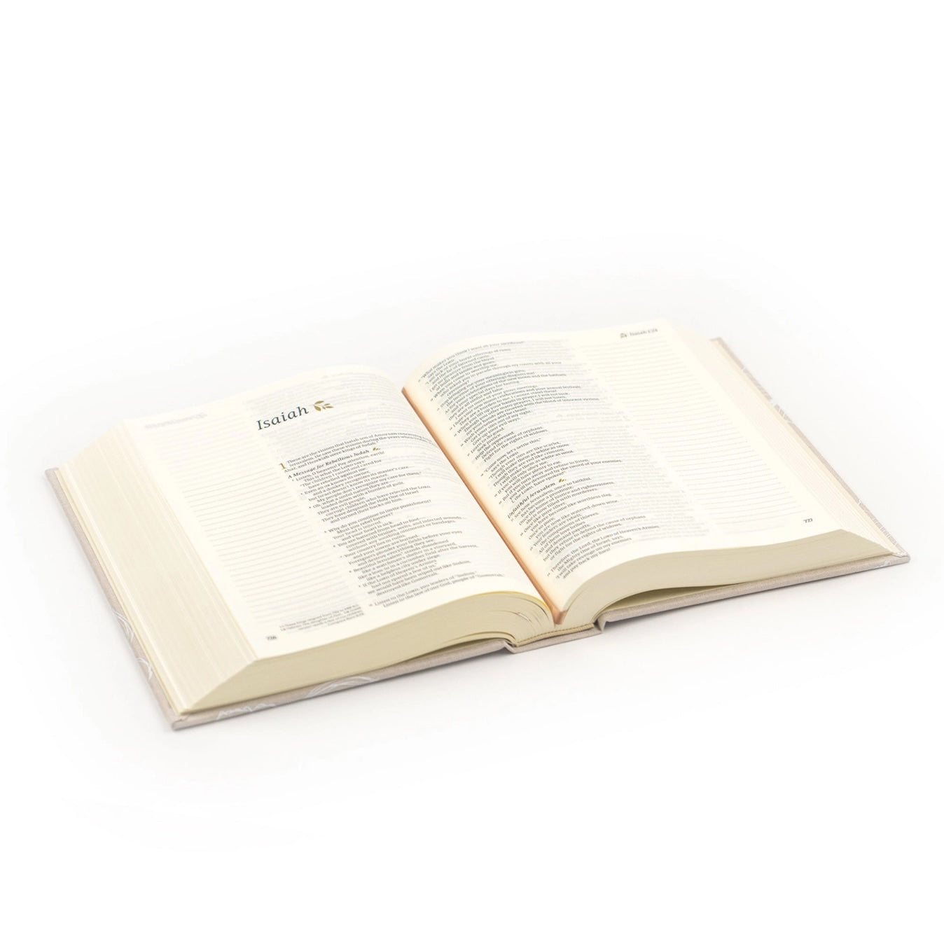 NLT Notetaking Bible: Cordova Theme