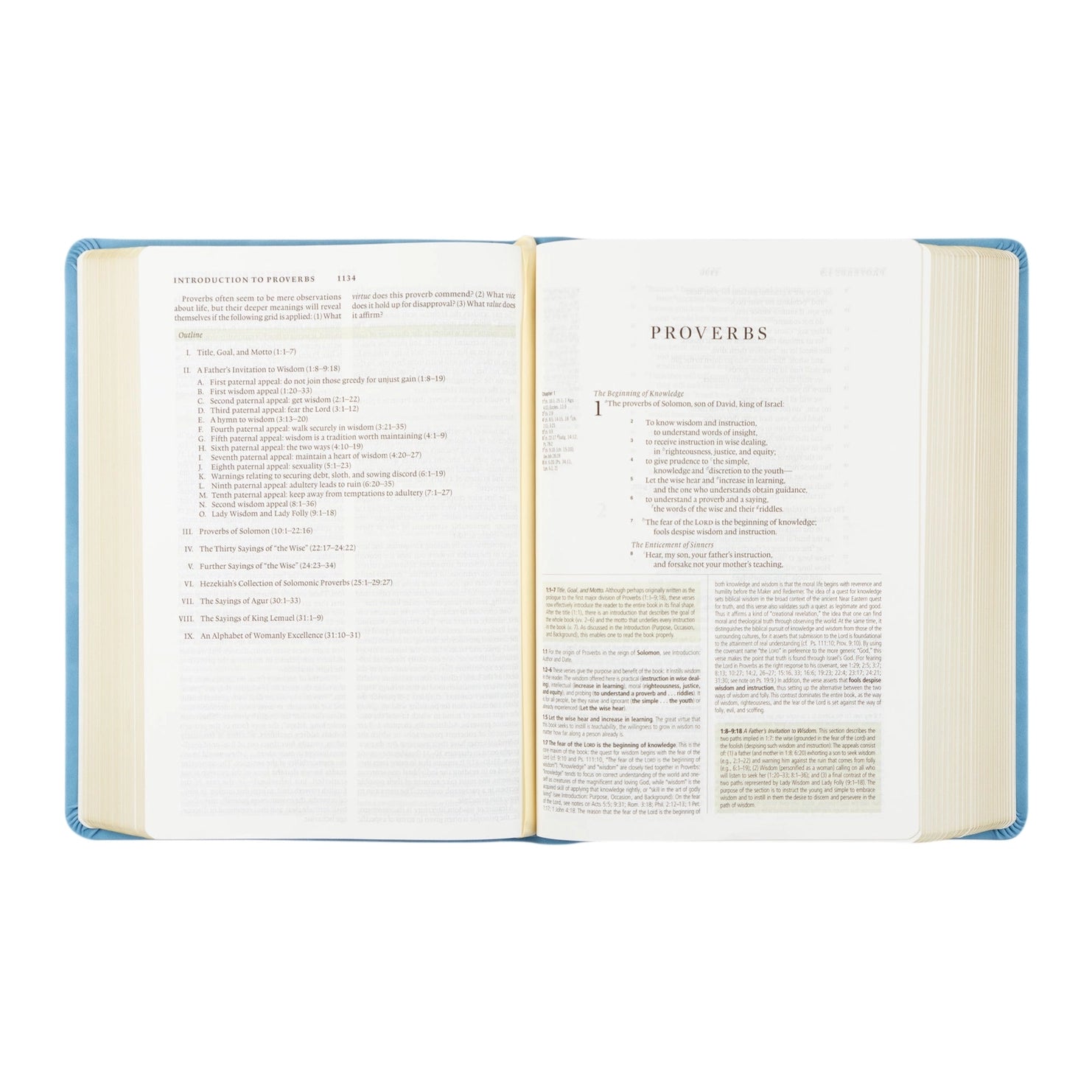 ESV Study Bible: Bethany Theme