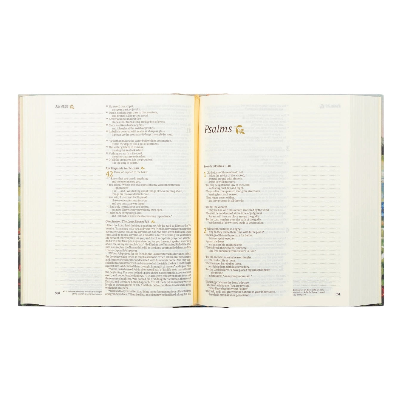 NLT Notetaking Bible: Coram Theme