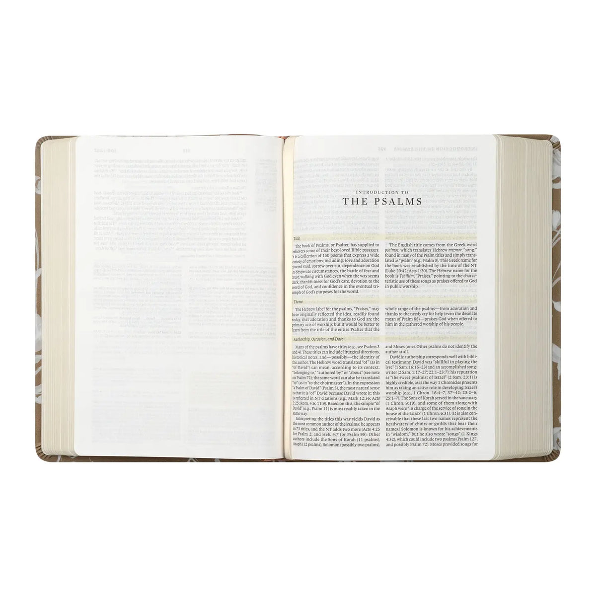 ESV Study Bible: Manila Theme