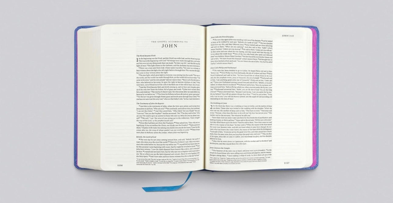 ESV Single Column Journaling Bible Garden Theme