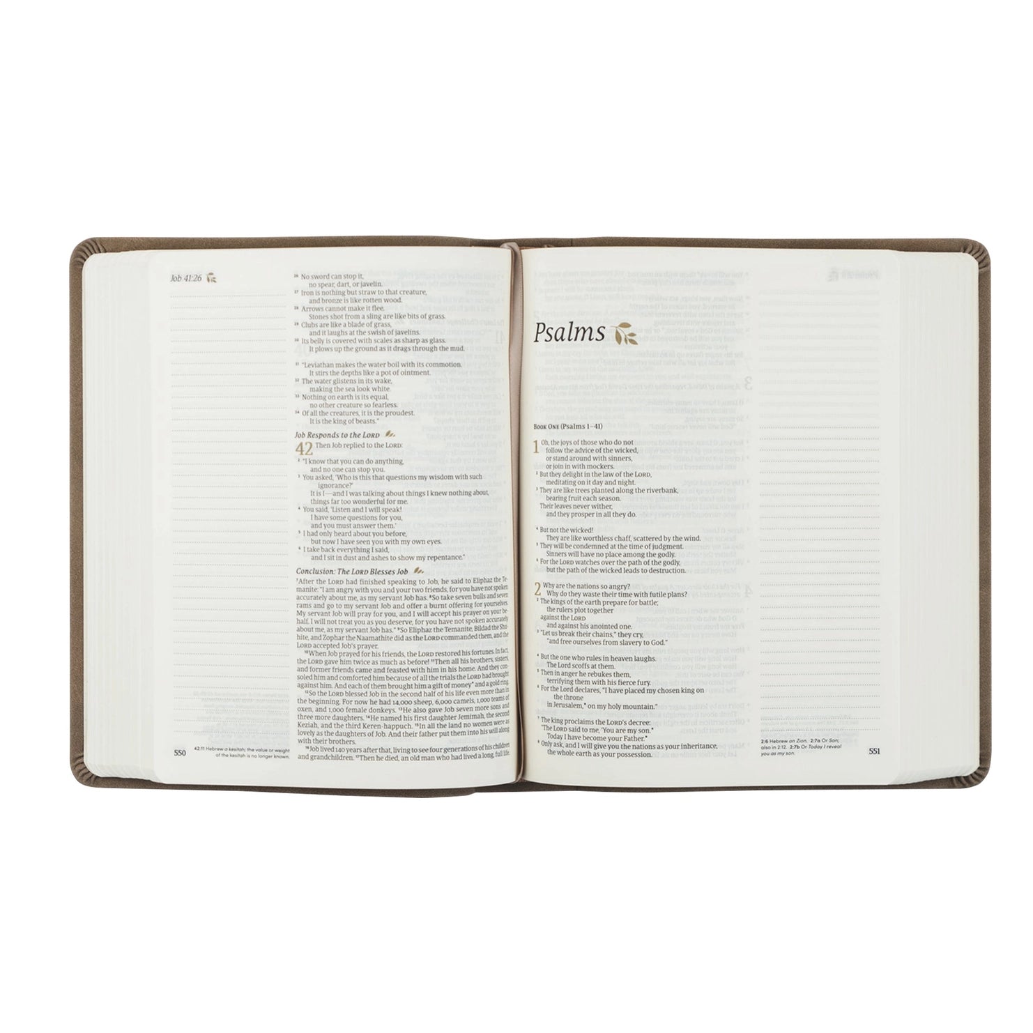 NLT Notetaking Bible: Marlo Theme