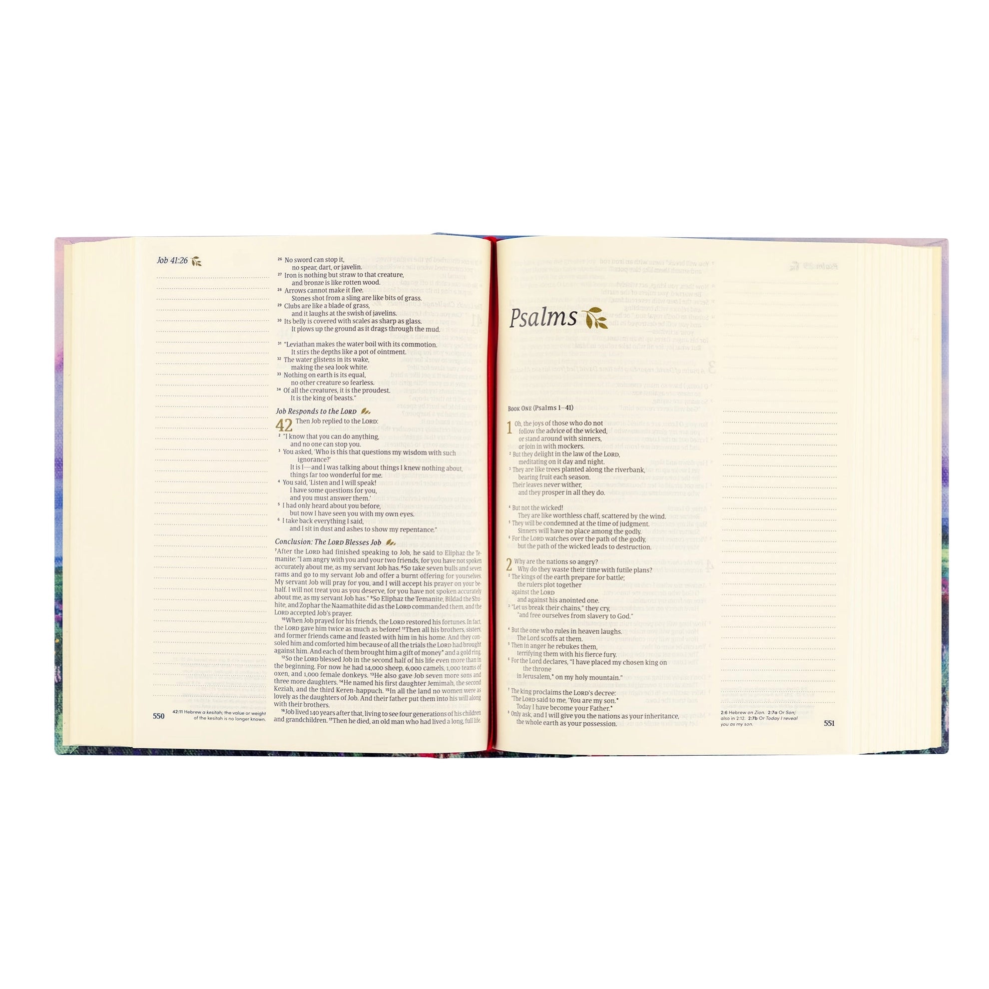 NLT Notetaking Bible: Cana Theme