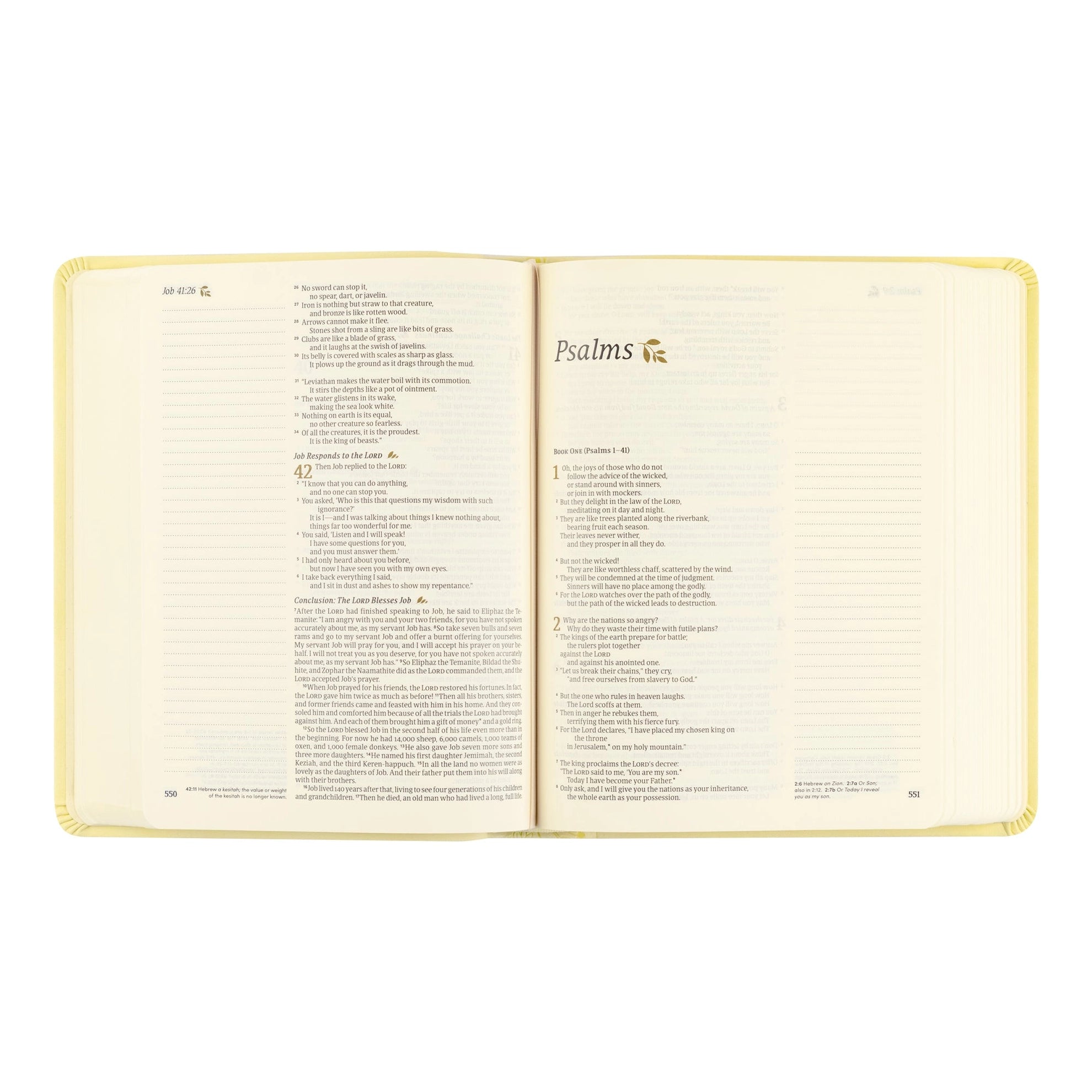 NLT Notetaking Bible: Belfast Theme