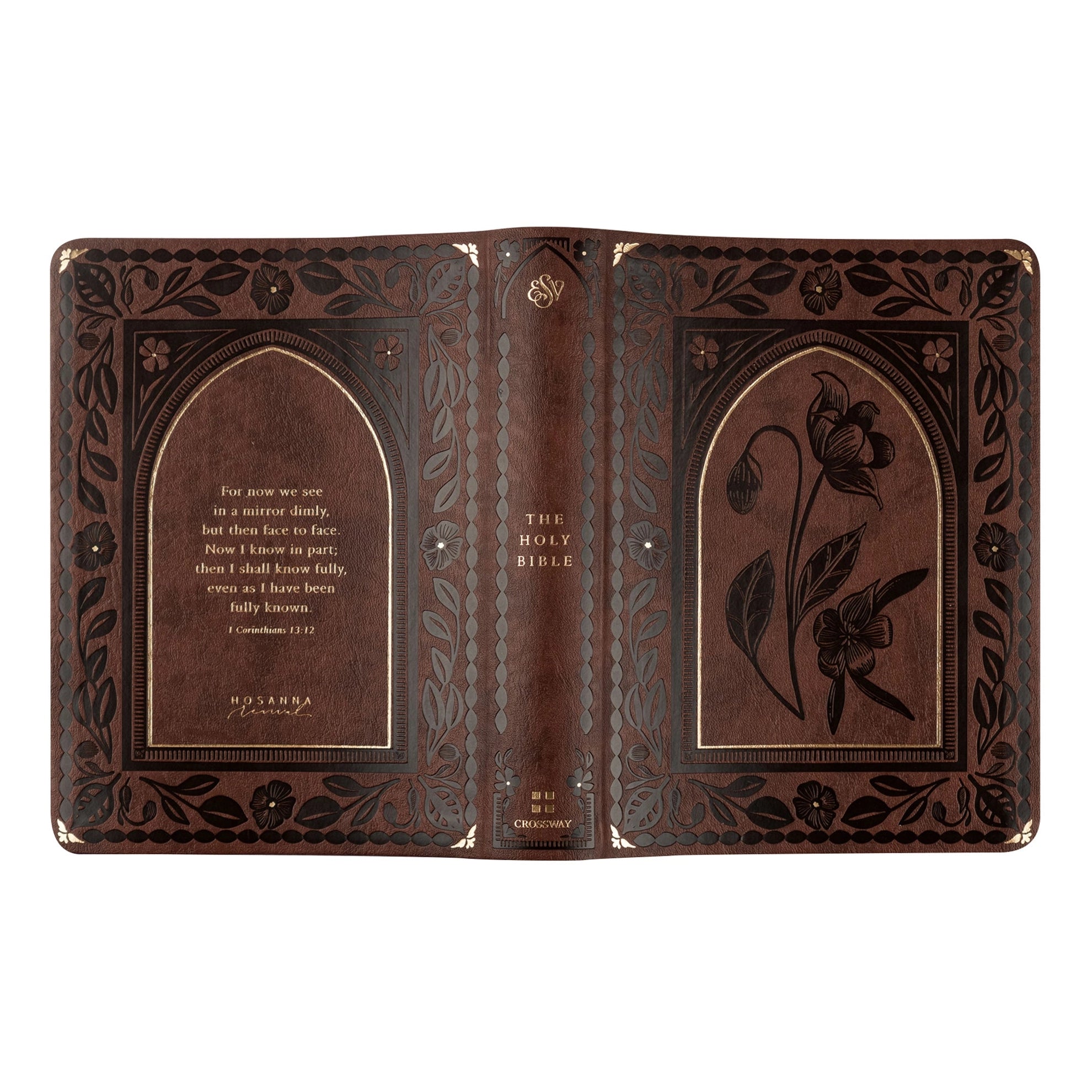 ESV Journaling Bible: Palma Theme