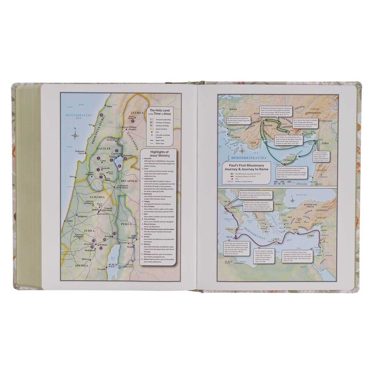 Sage Green Floral KJV Notetaking Bible: Large Print