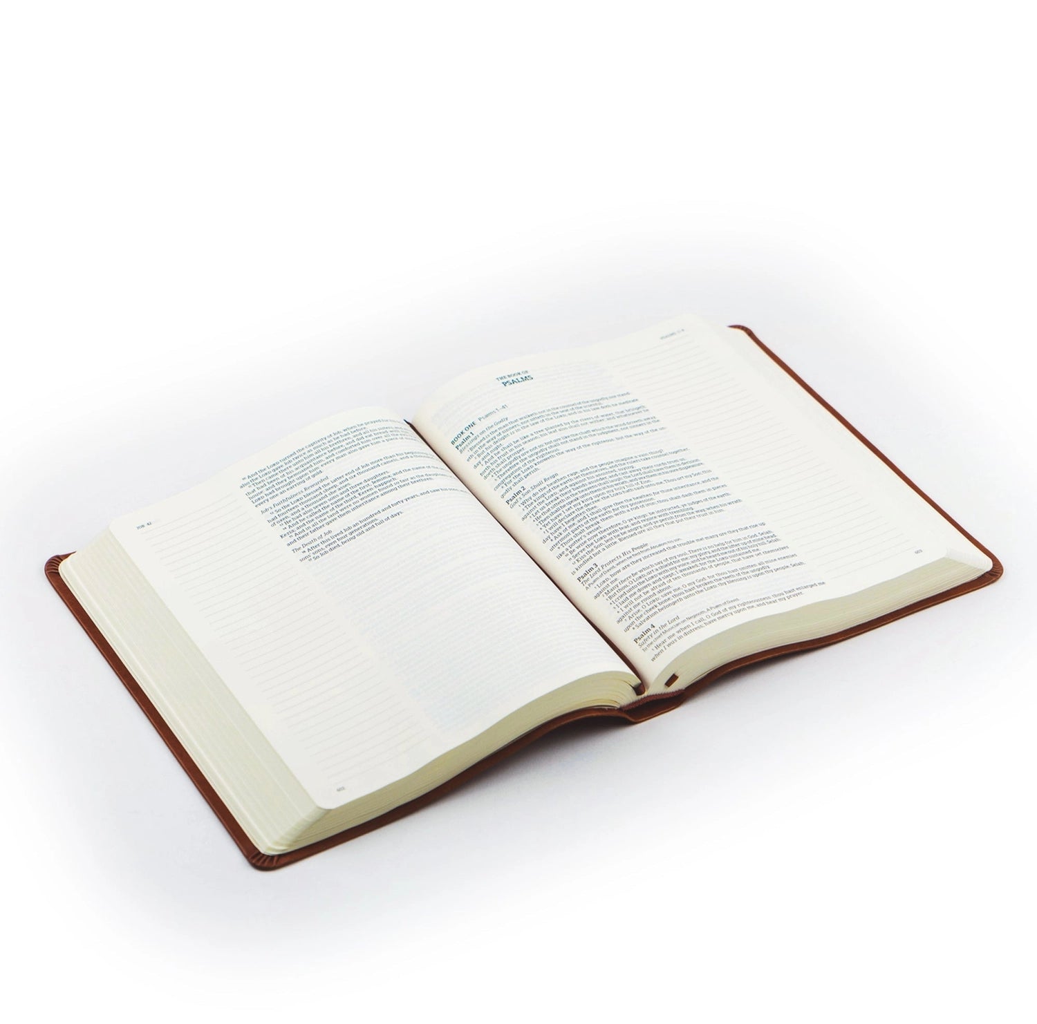 KJV Large Print Notetaking Bible: Vienna Theme