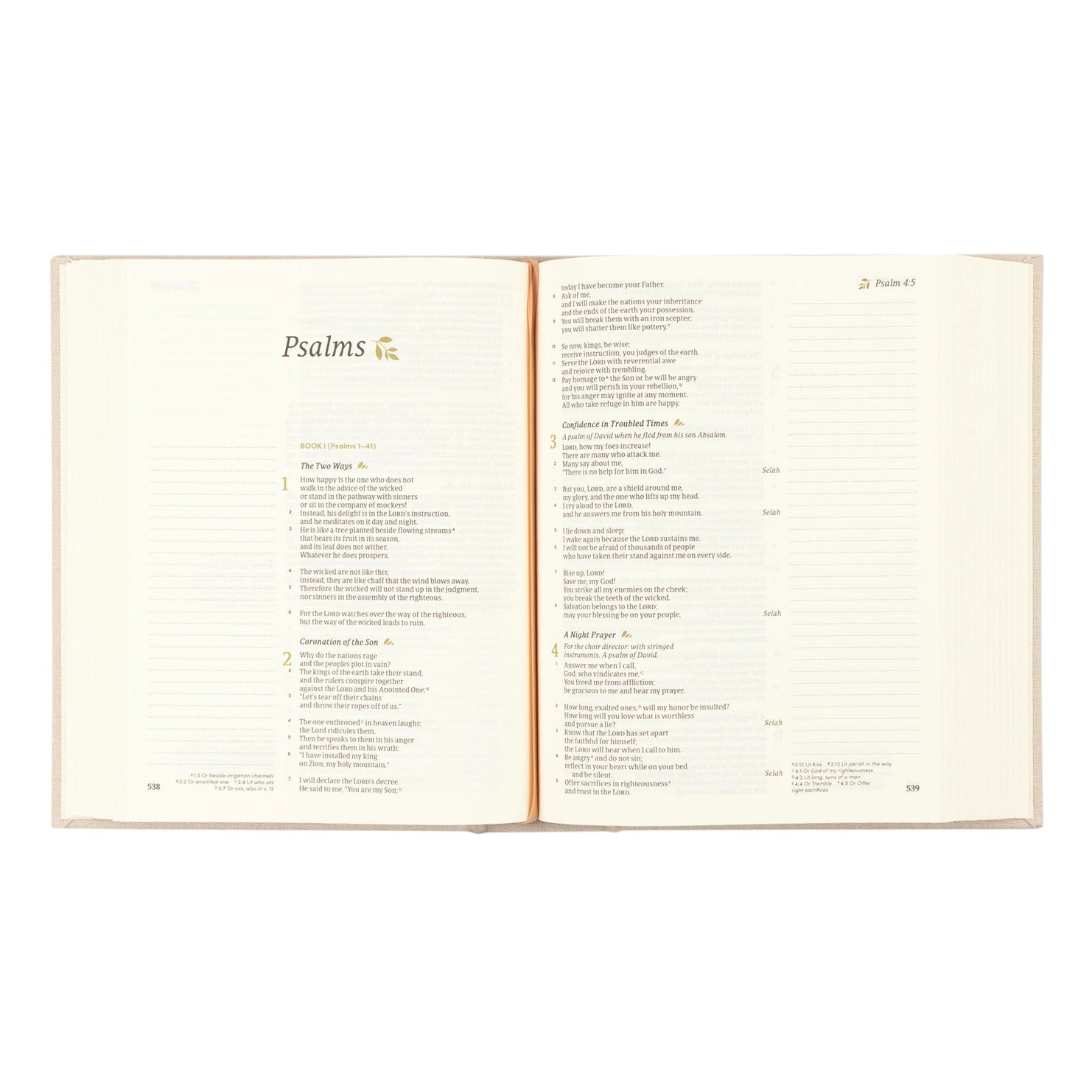 CSB Notetaking Bible: Oxford Theme