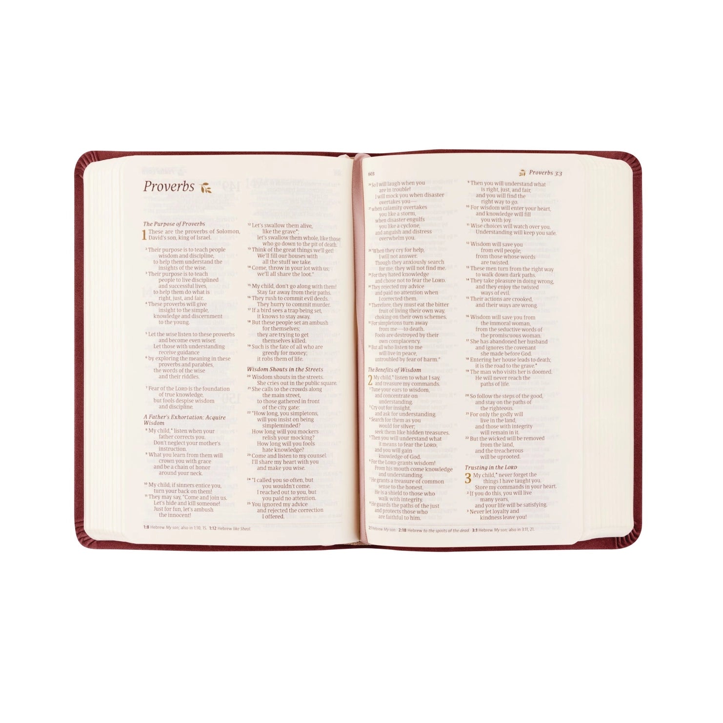 NLT Compact Bible: Helena Theme