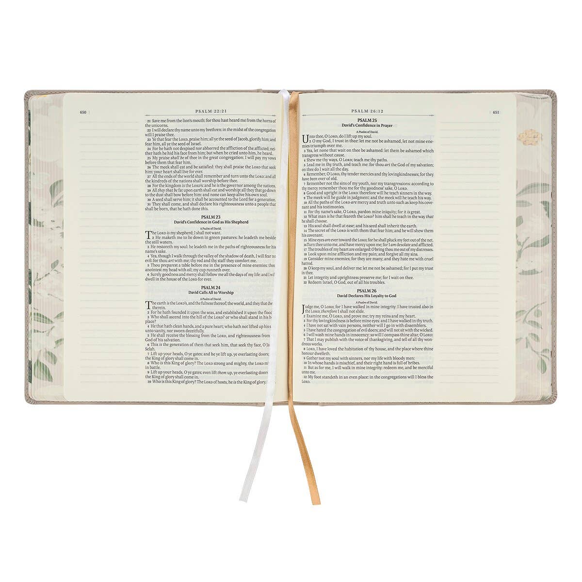 Taupe KJV Notetaking Bible: Large Print