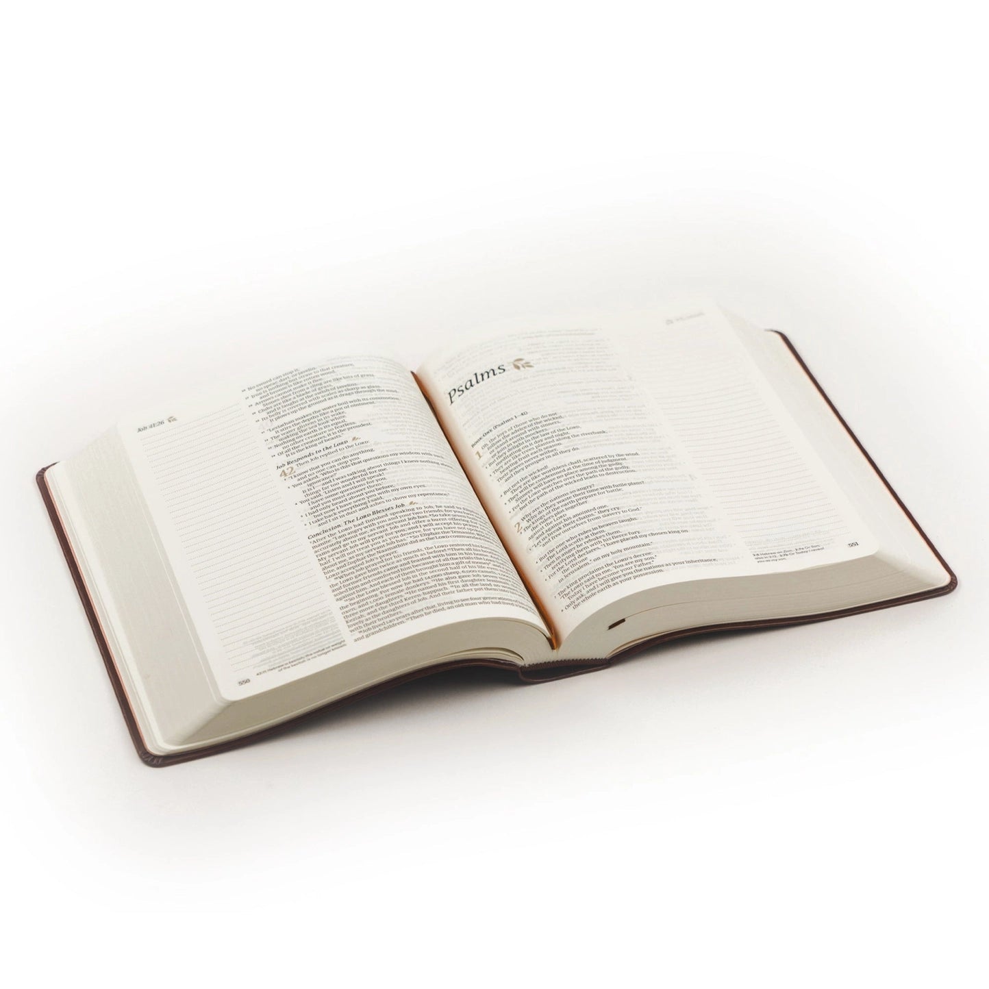 NLT Notetaking Bible:  Santa Elena Theme