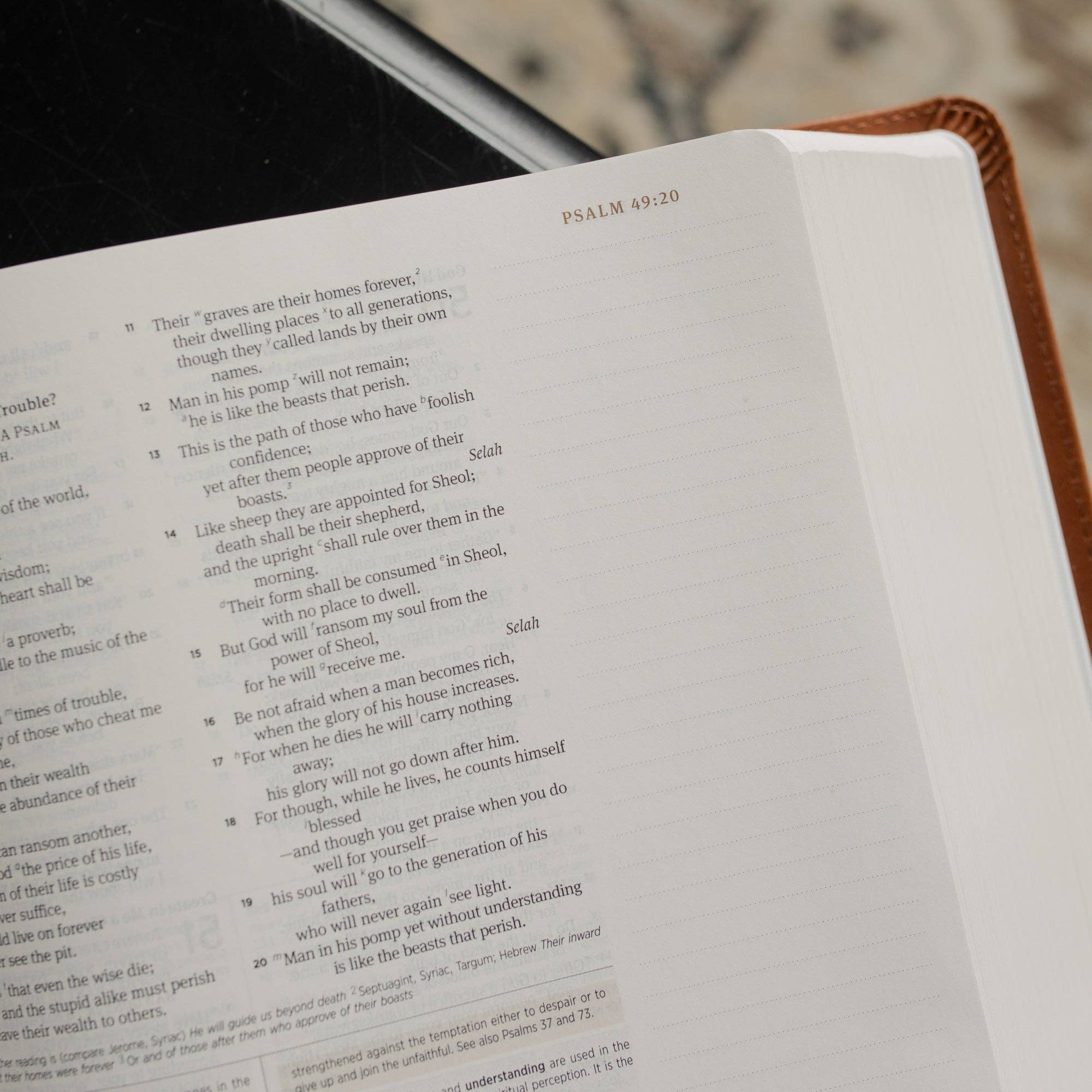 ESV Journaling Study Bible | Lily of the Valley