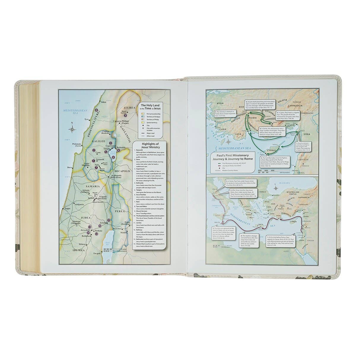 Cream Floral KJV Notetaking Bible