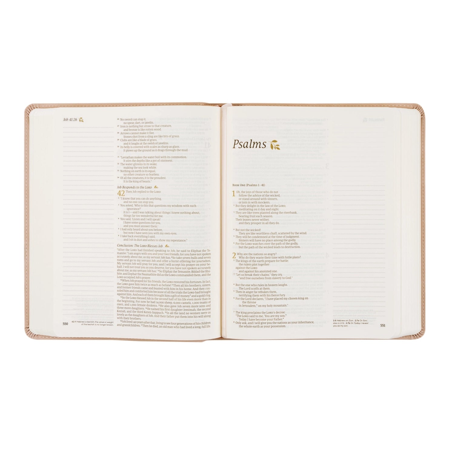 NLT Notetaking Bible: Shiloh Theme