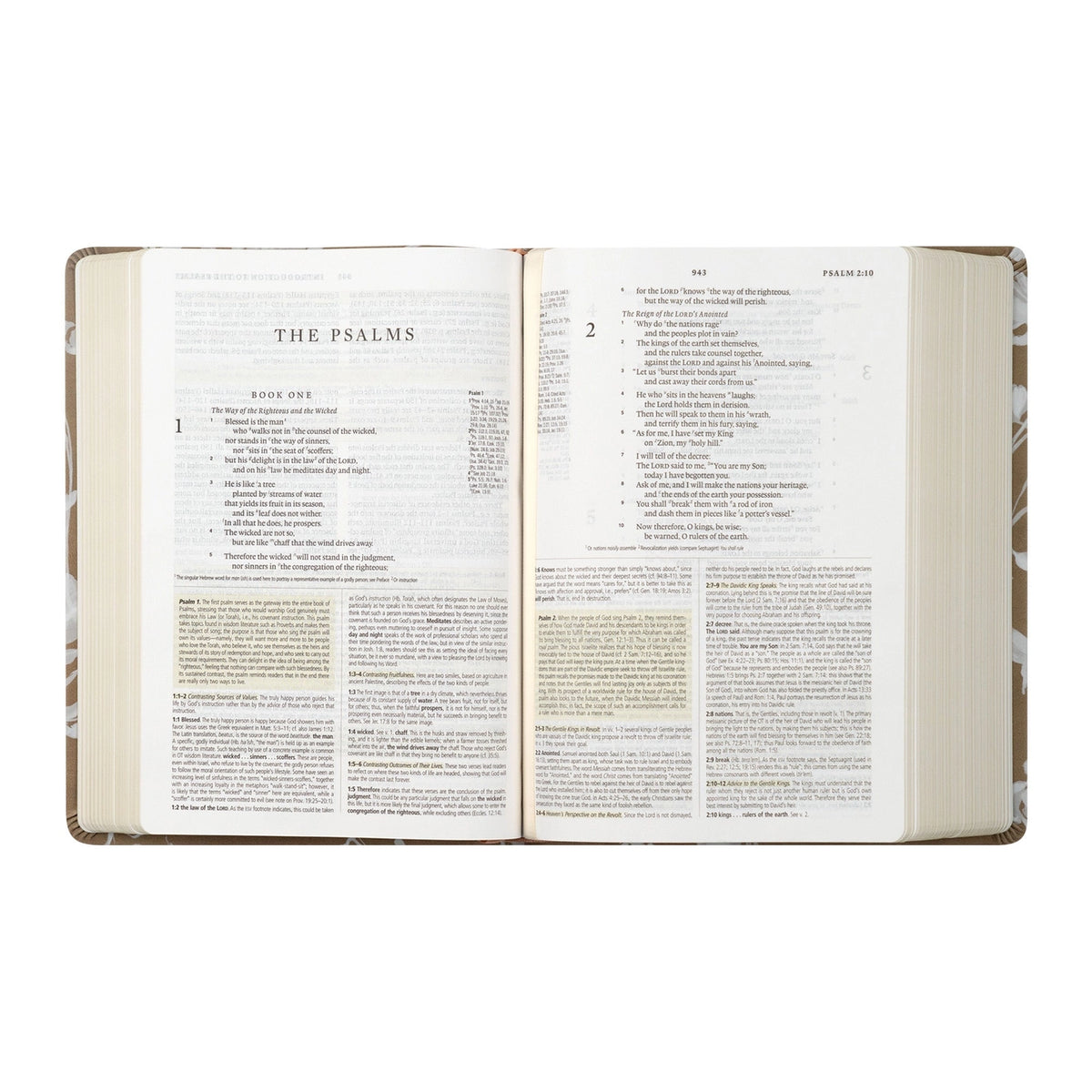 ESV Study Bible: Manila Theme