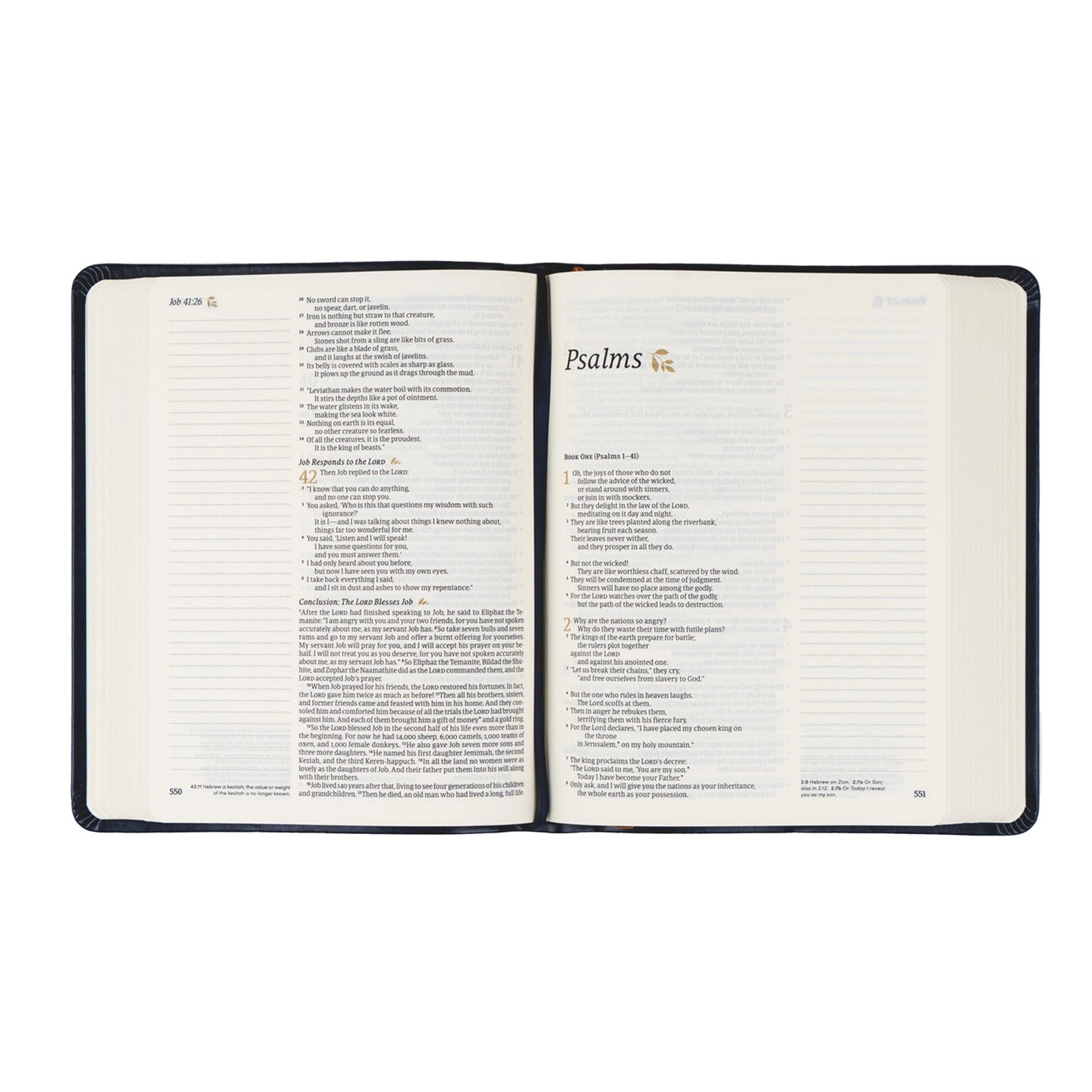 NLT Notetaking Bible: Versailles Theme
