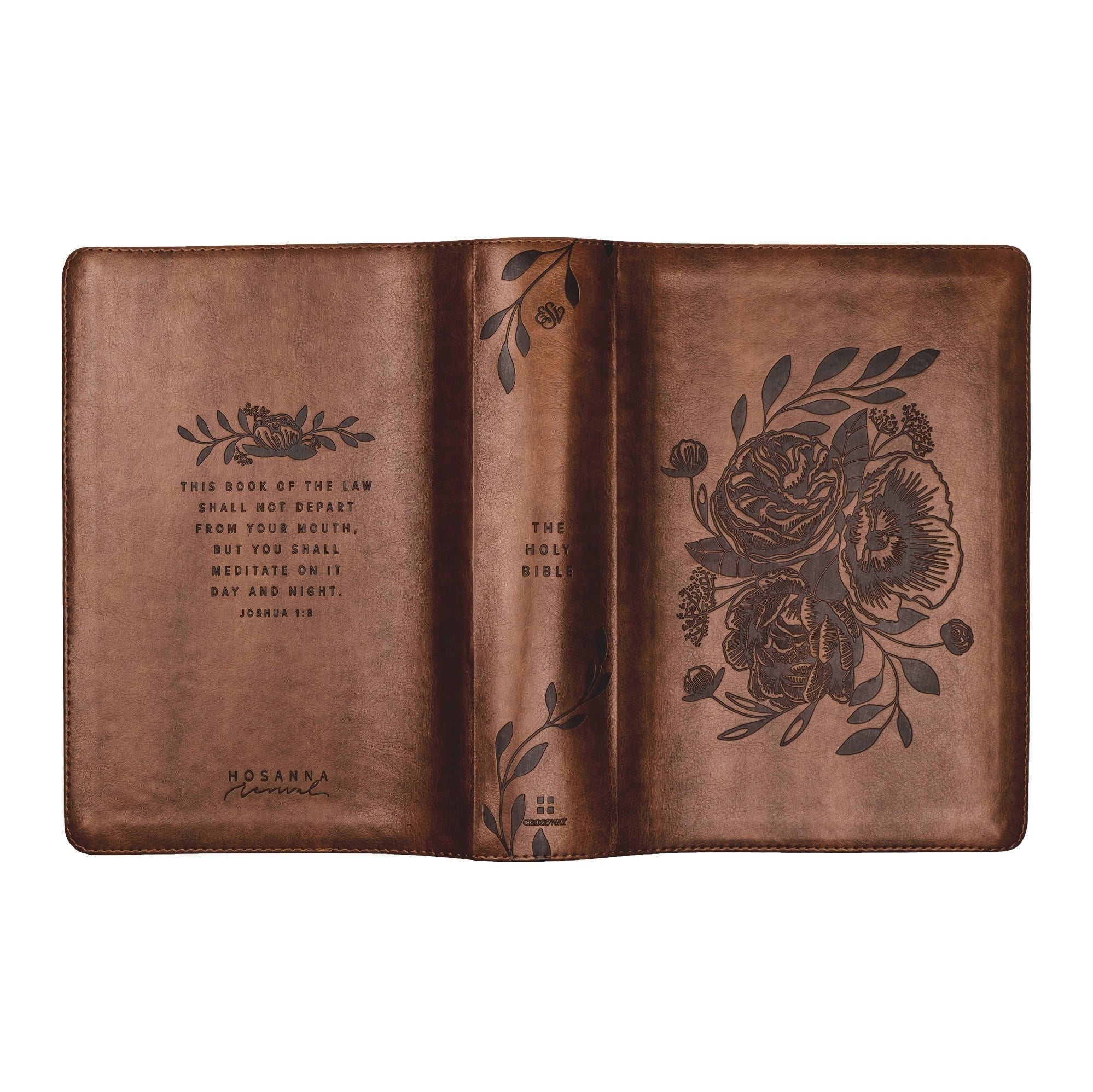 ESV Study Bible: Aurora Theme
