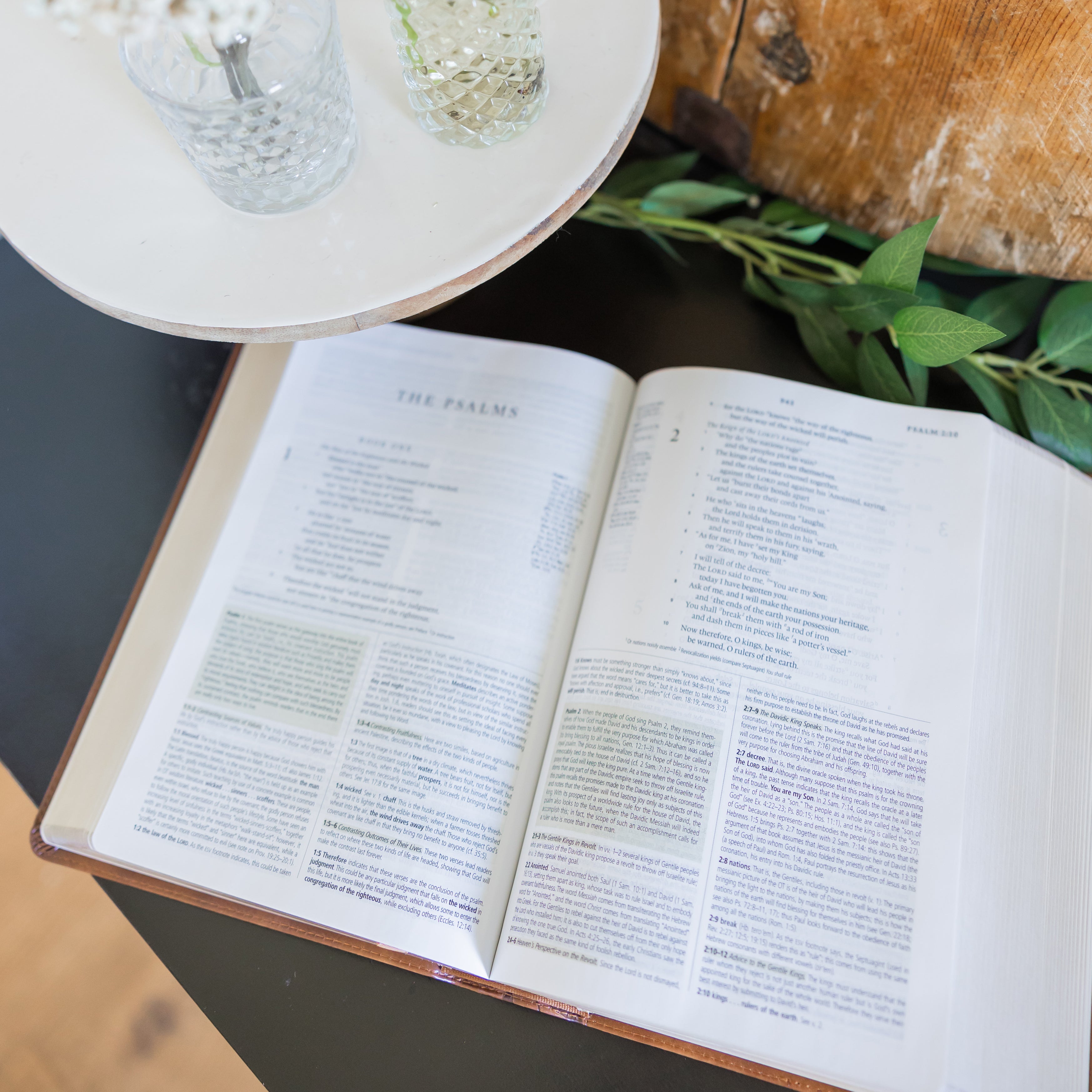 ESV Study Bible: Aurora Theme