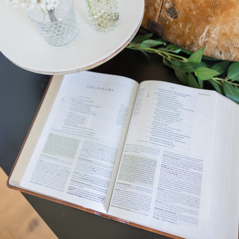 ESV Study Bible: Aurora Theme – Selah Publications