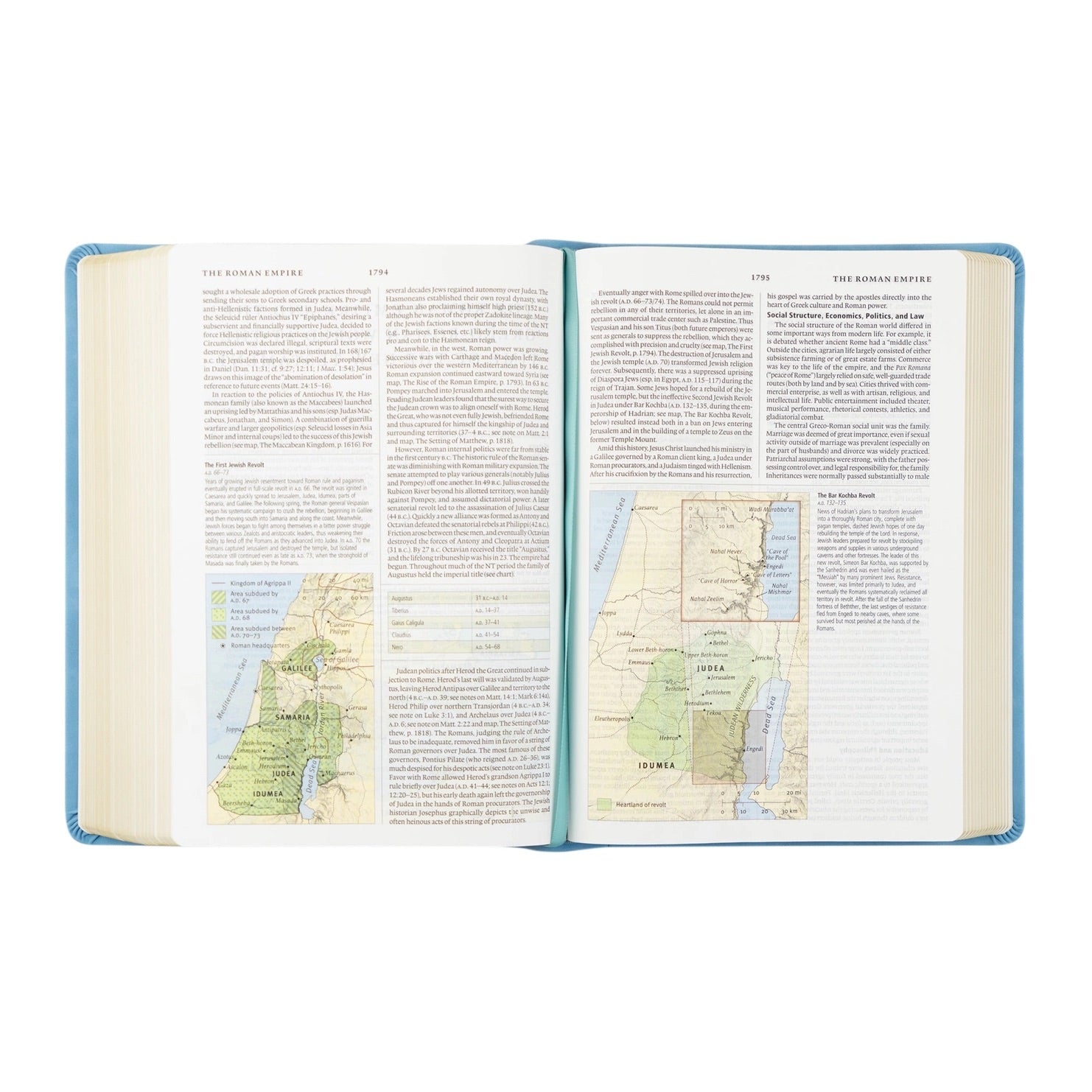 ESV Study Bible: Bethany Theme