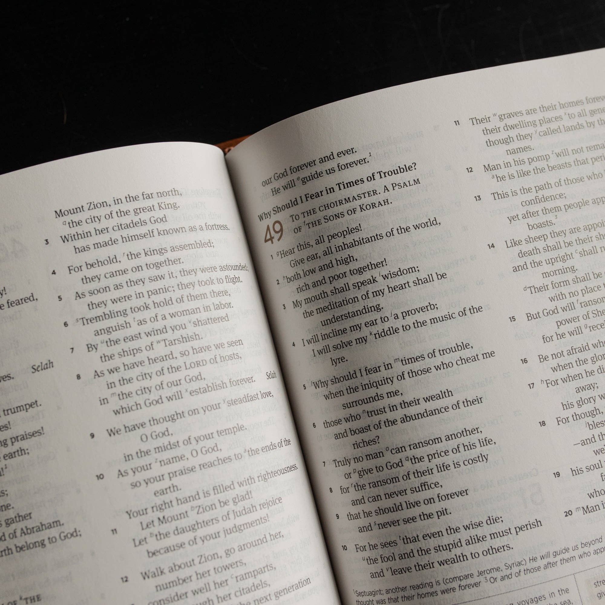ESV Journaling Study Bible | Lily of the Valley