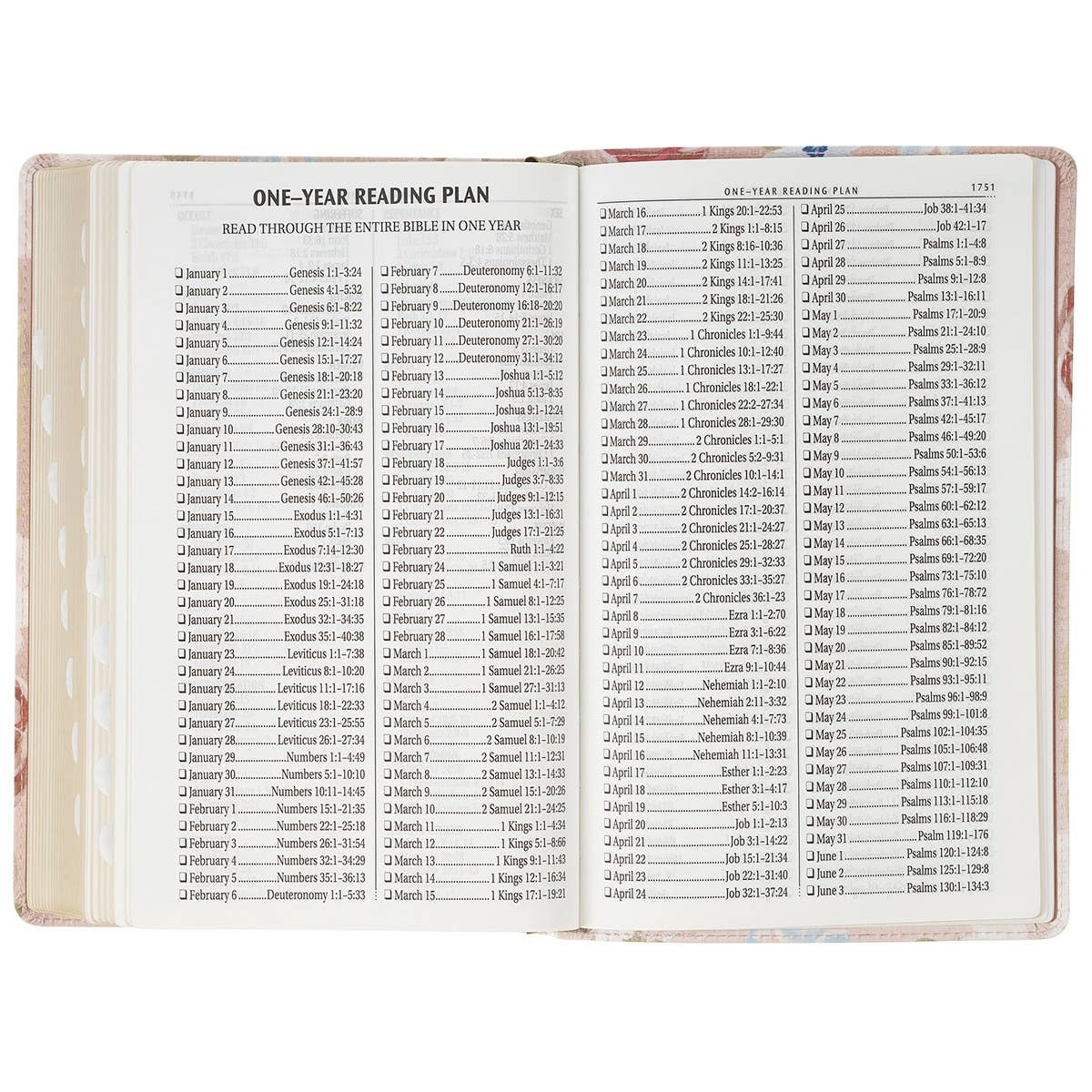 Pink Floral KJV Bible: Giant Print