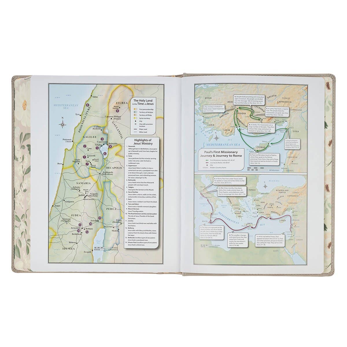 Taupe KJV Notetaking Bible: Large Print