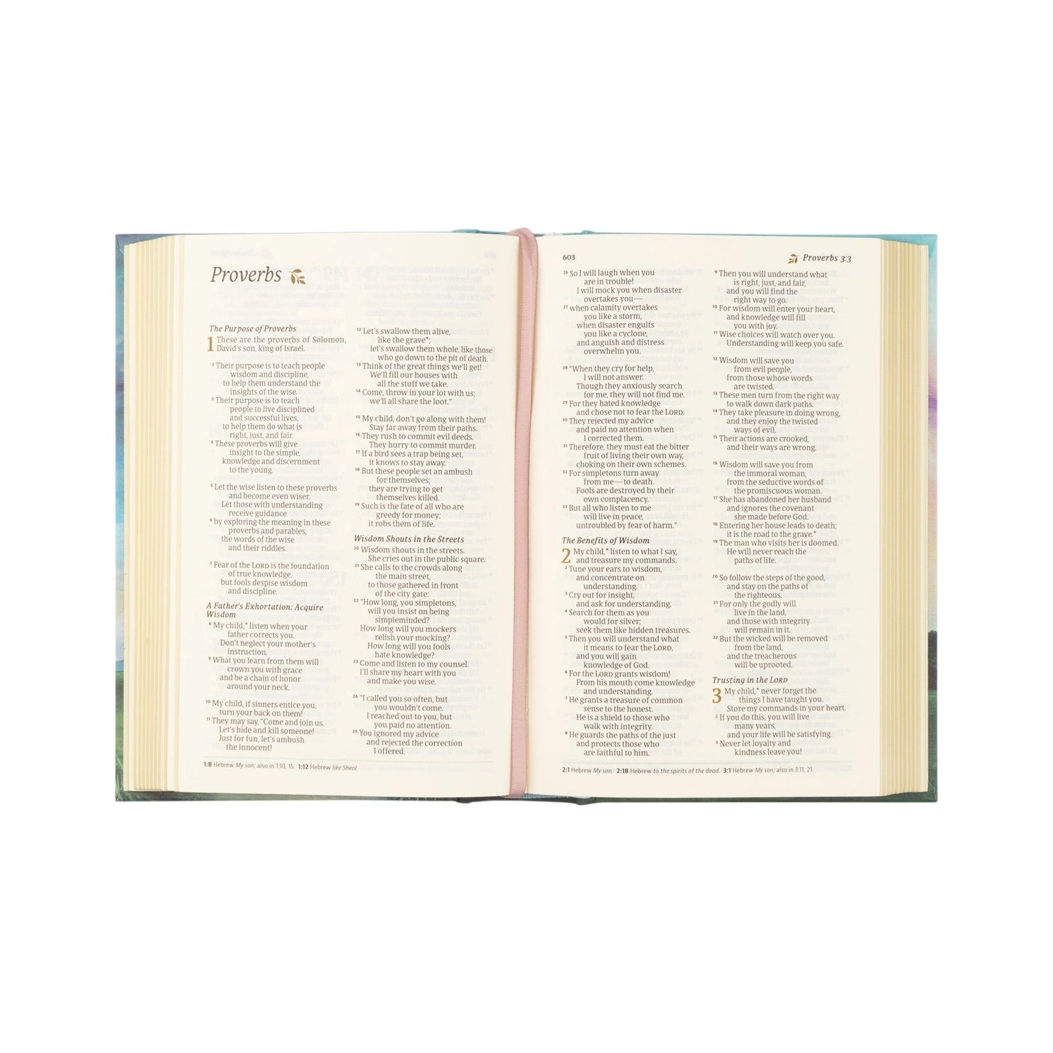 NLT Compact Bible: Prairie Theme