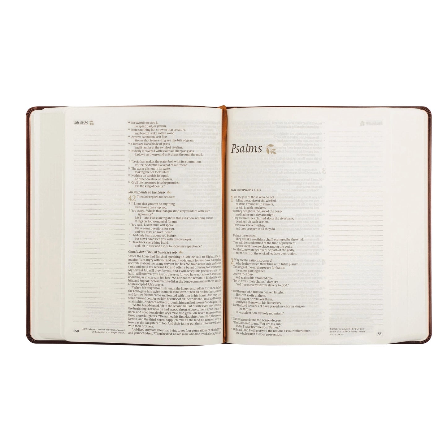 NLT Notetaking Bible:  Santa Elena Theme