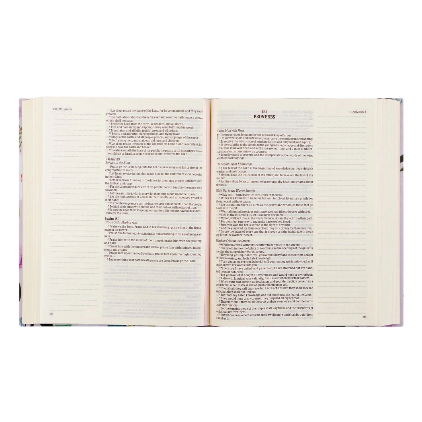 KJV Large Print Notetaking Bible: Charlotte Theme
