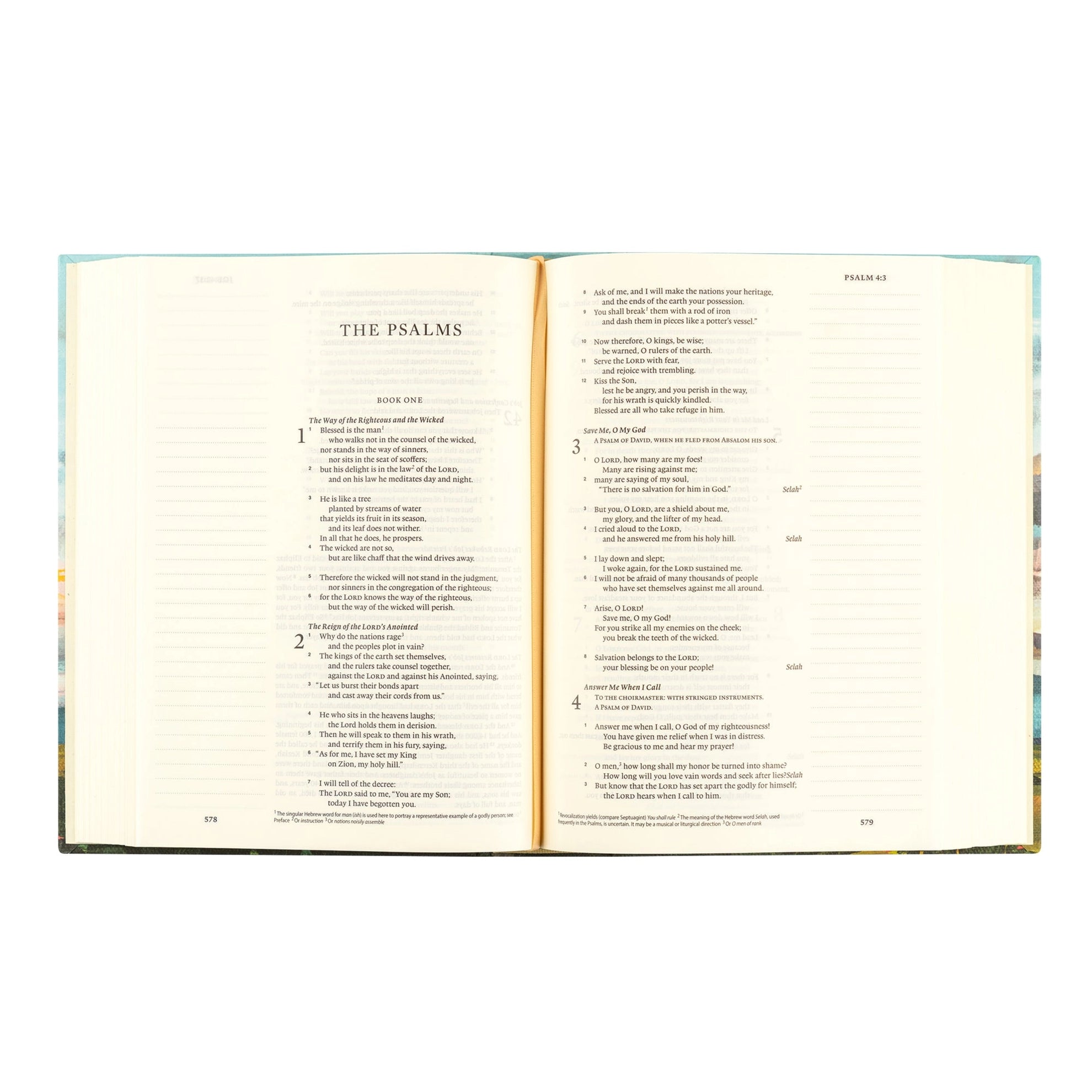 ESV Journaling Bible: Santa Lucia Theme