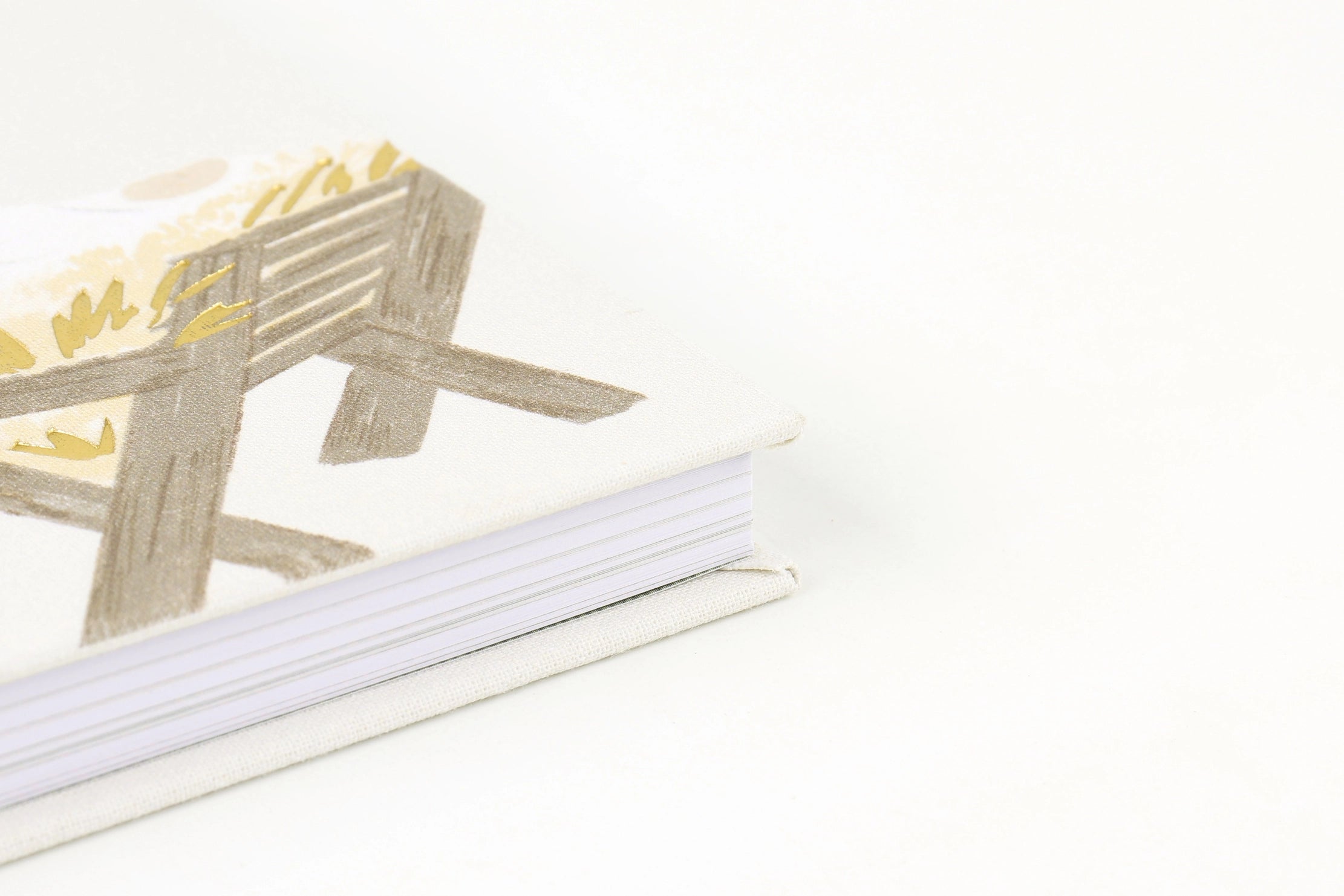 Light of the World: A 25-Day Advent Devotional