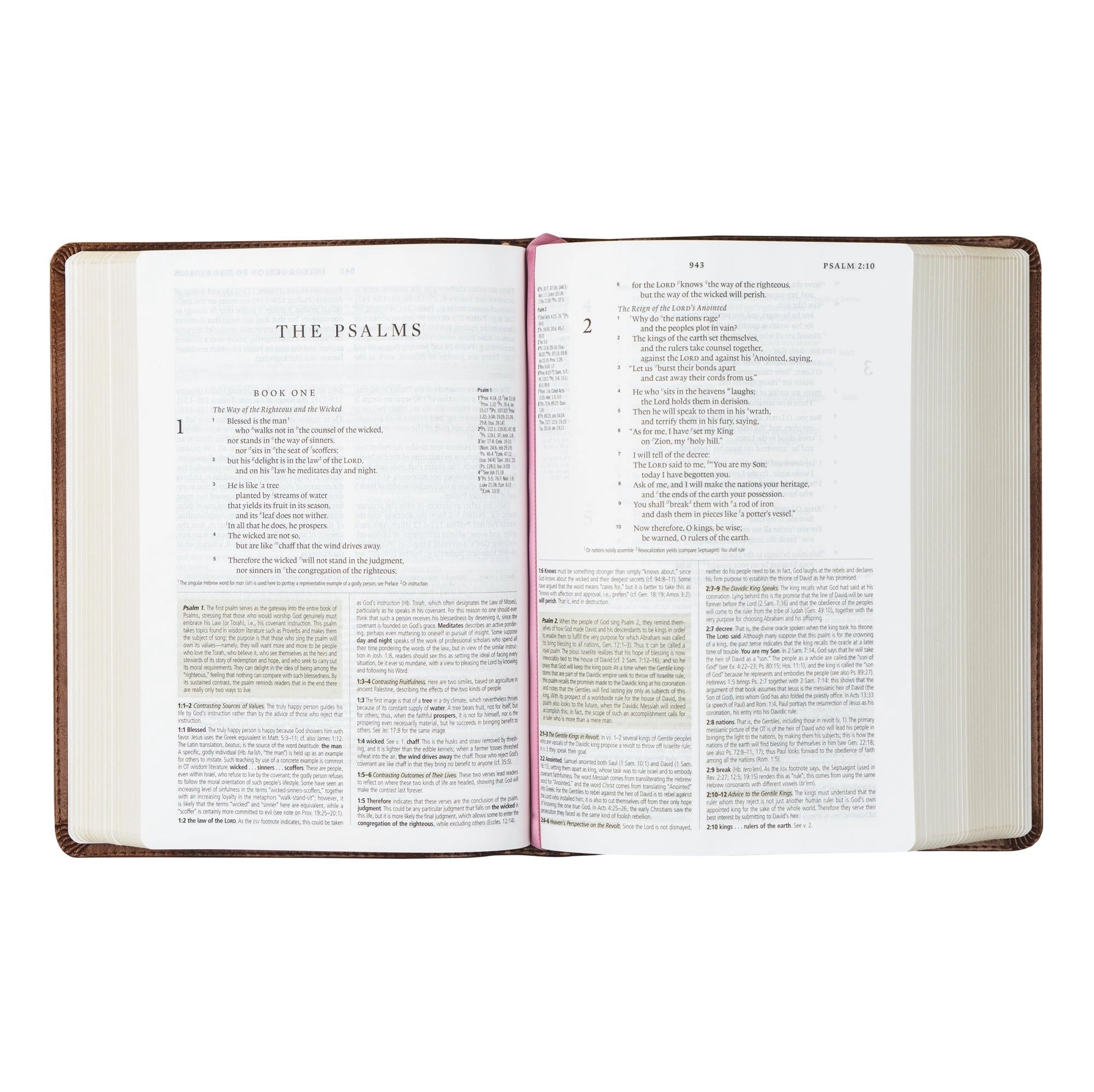 ESV Study Bible: Aurora Theme