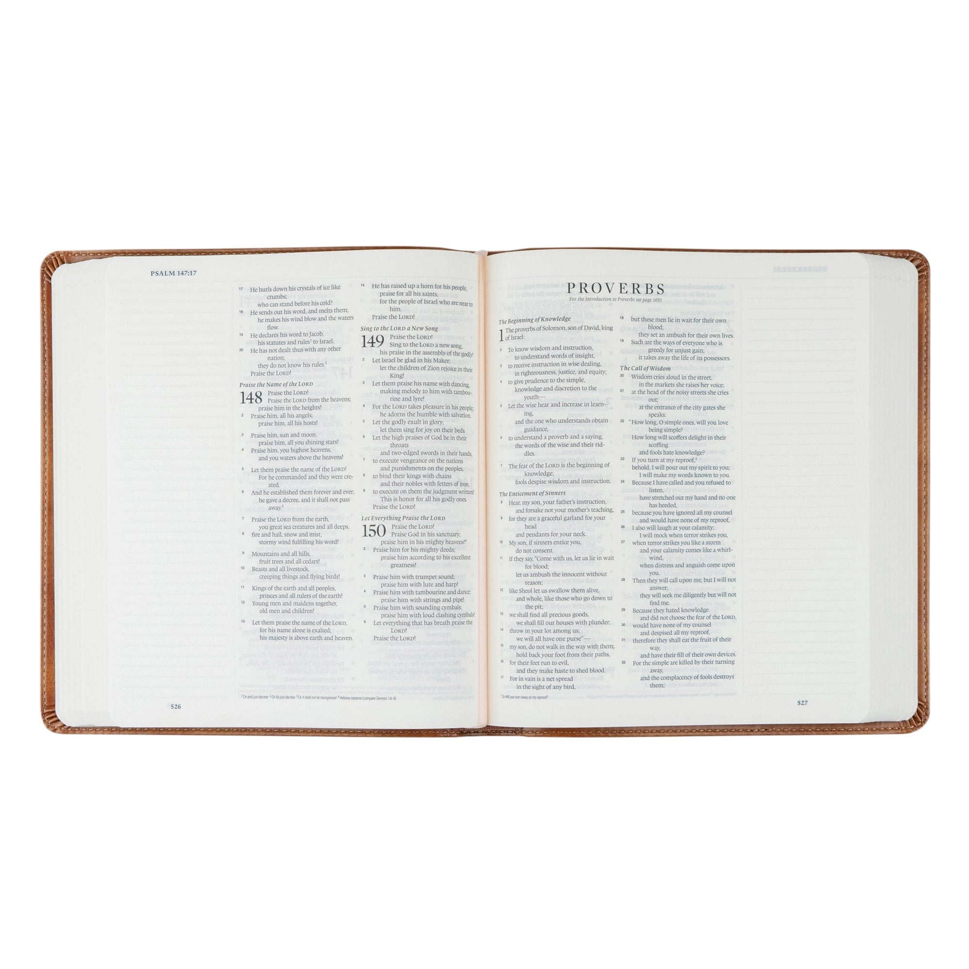 ESV Journaling Bible: Sierra Theme