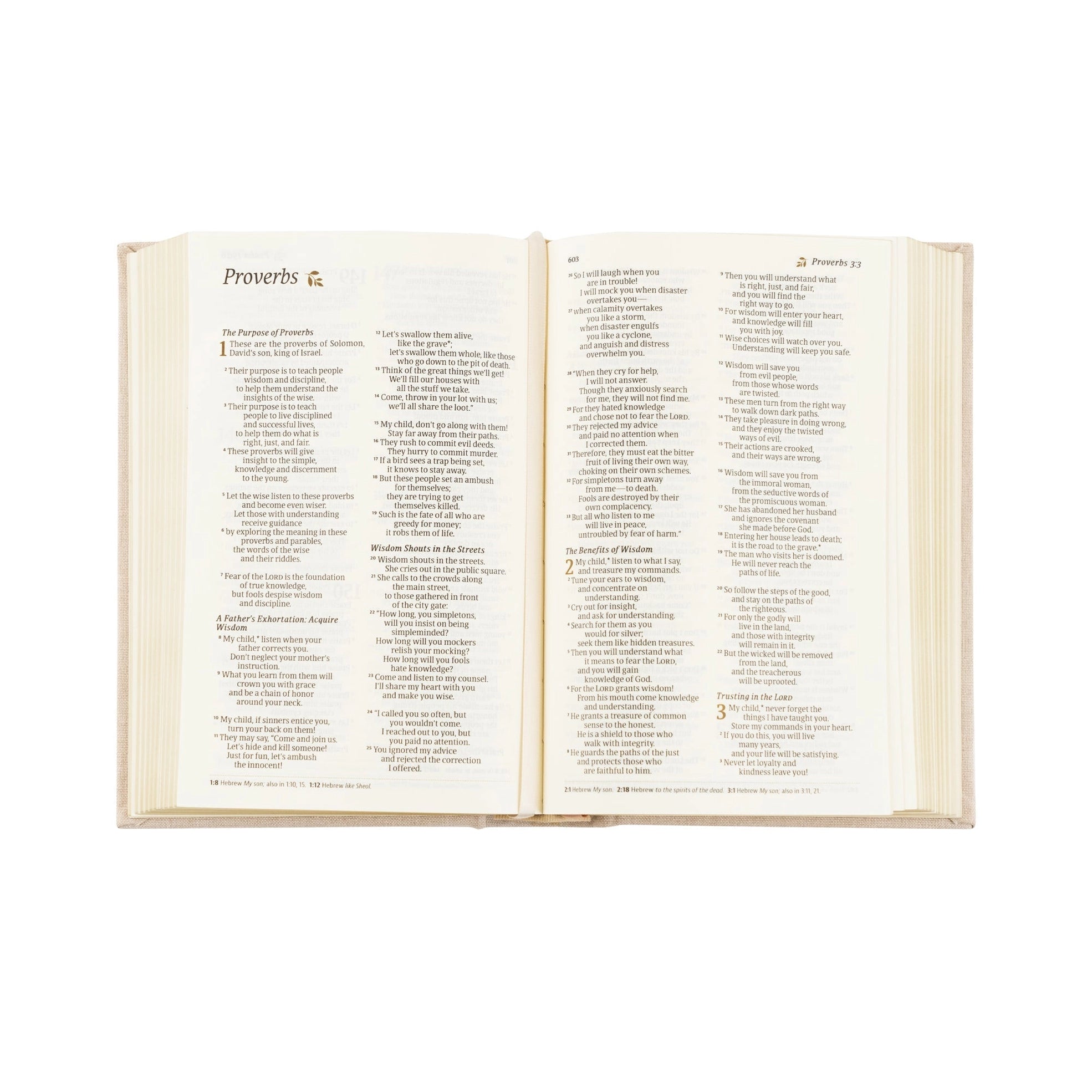 NLT Compact Bible: Casablanca Theme
