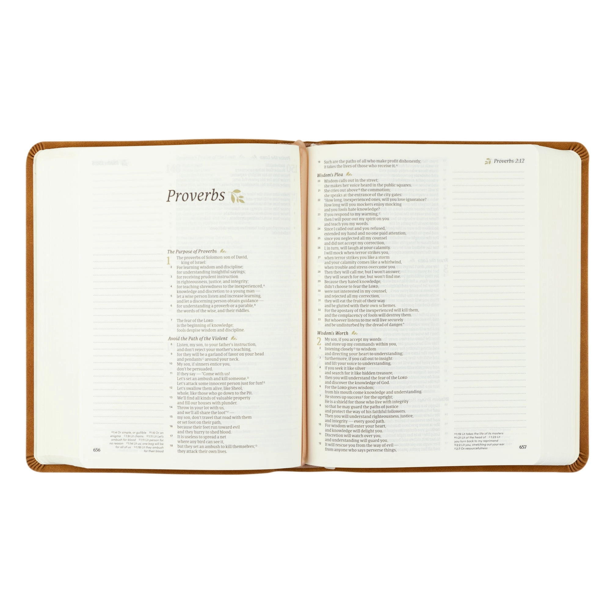 CSB Notetaking Bible: Amelia Theme